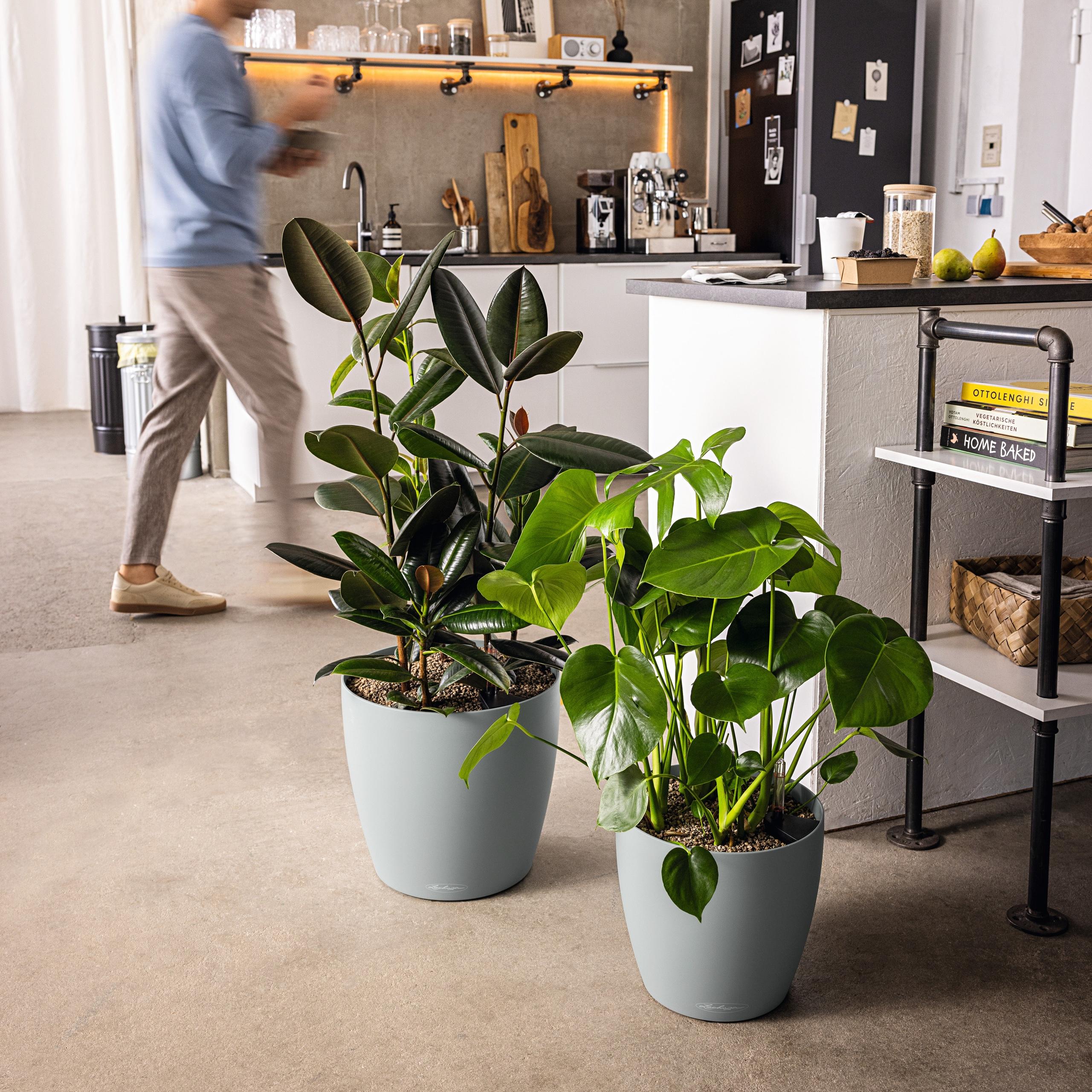 LECHUZA CLASSICO Color muskat Ø42cm | Höhe 39,5cm, Blumentopf